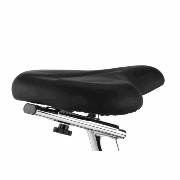 BH Fitness Artic Exercise Bike - Image 4