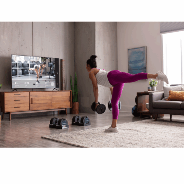 Proform Adjustable Dumbbells 20kg Pair - Image 3