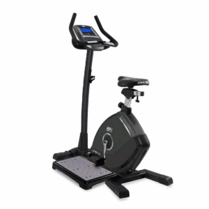 BH Fitness Commercial Upright Bike