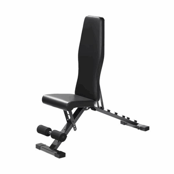 Premier Strength Multi Position Weight Bench